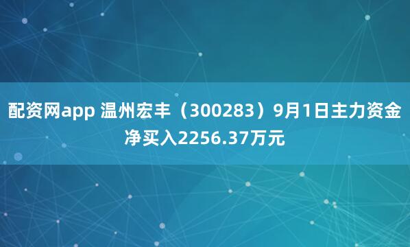 配资网app 温州宏丰（300283）9月1日主力资金净买入2256.37万元