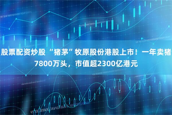 股票配资炒股 “猪茅”牧原股份港股上市！一年卖猪7800万头，市值超2300亿港元