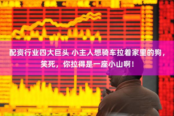 配资行业四大巨头 小主人想骑车拉着家里的狗，笑死，你拉得是一座小山啊！